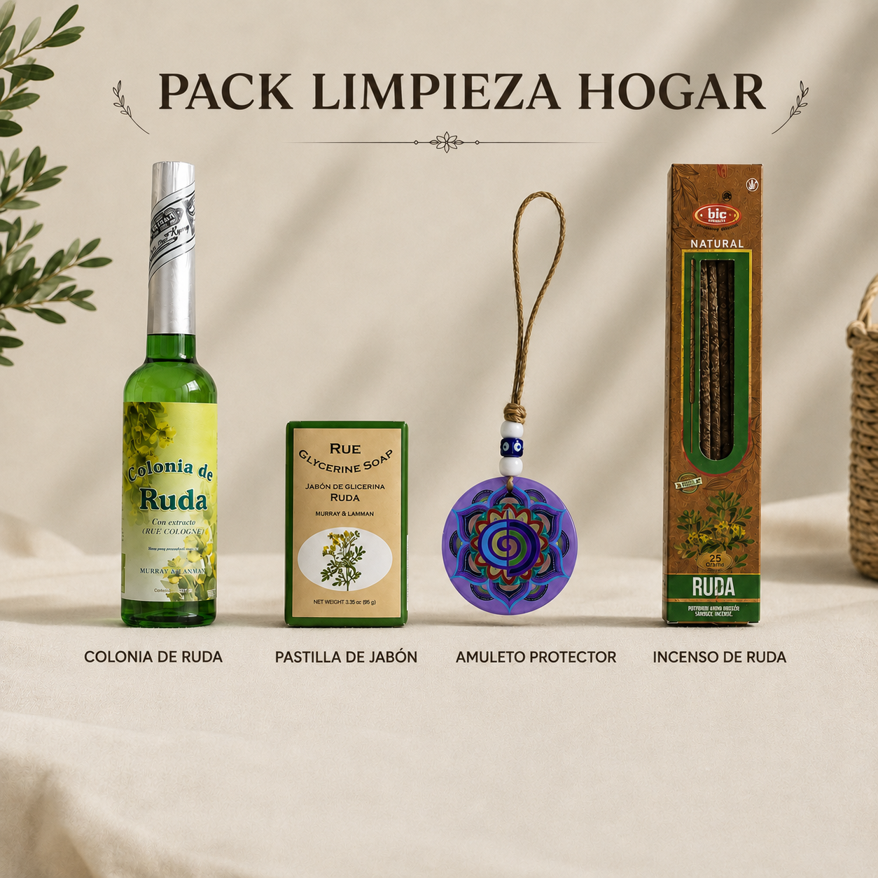 Pack Limpieza Hogar